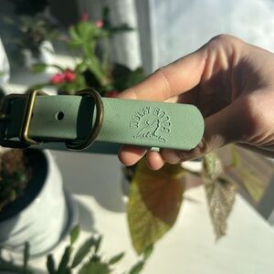 Wolfygoods biothane collar